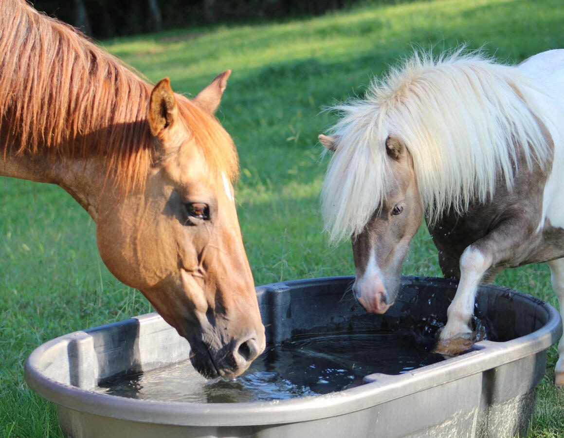 Storm & Topper